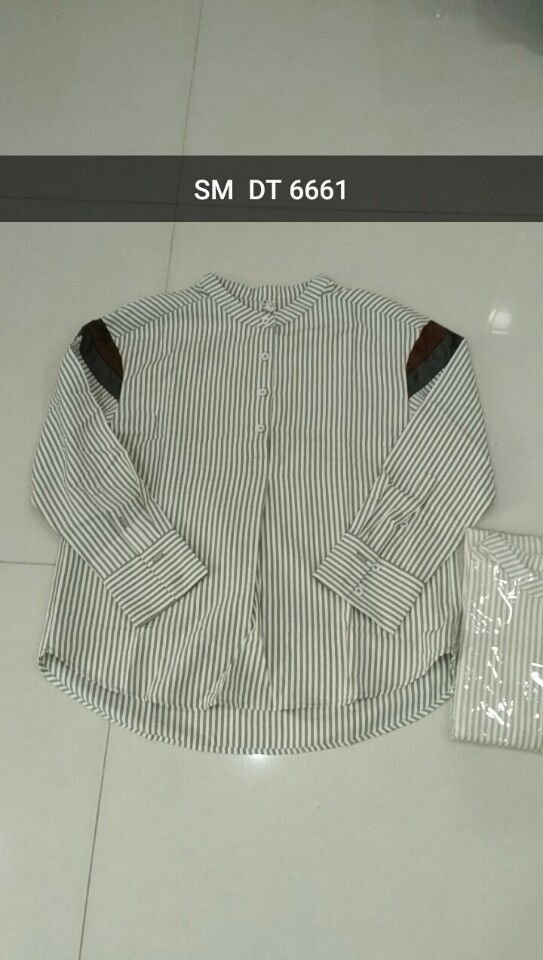 SM DT 666101