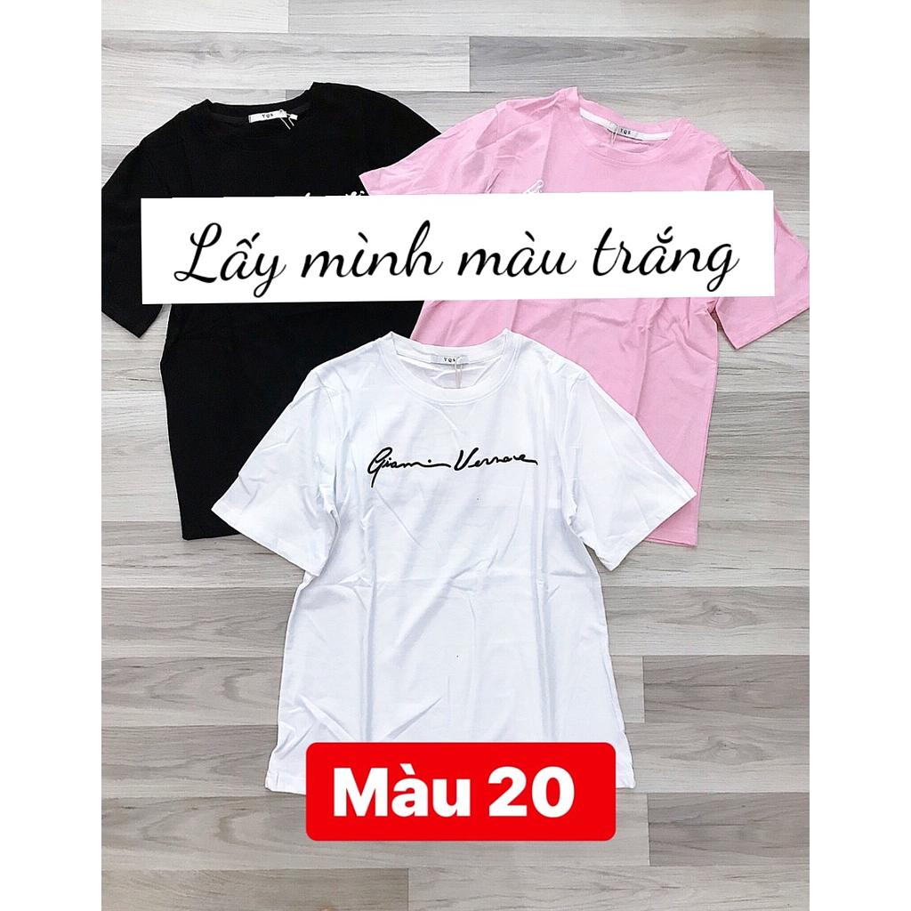 Thun chu f.dai NT 223503