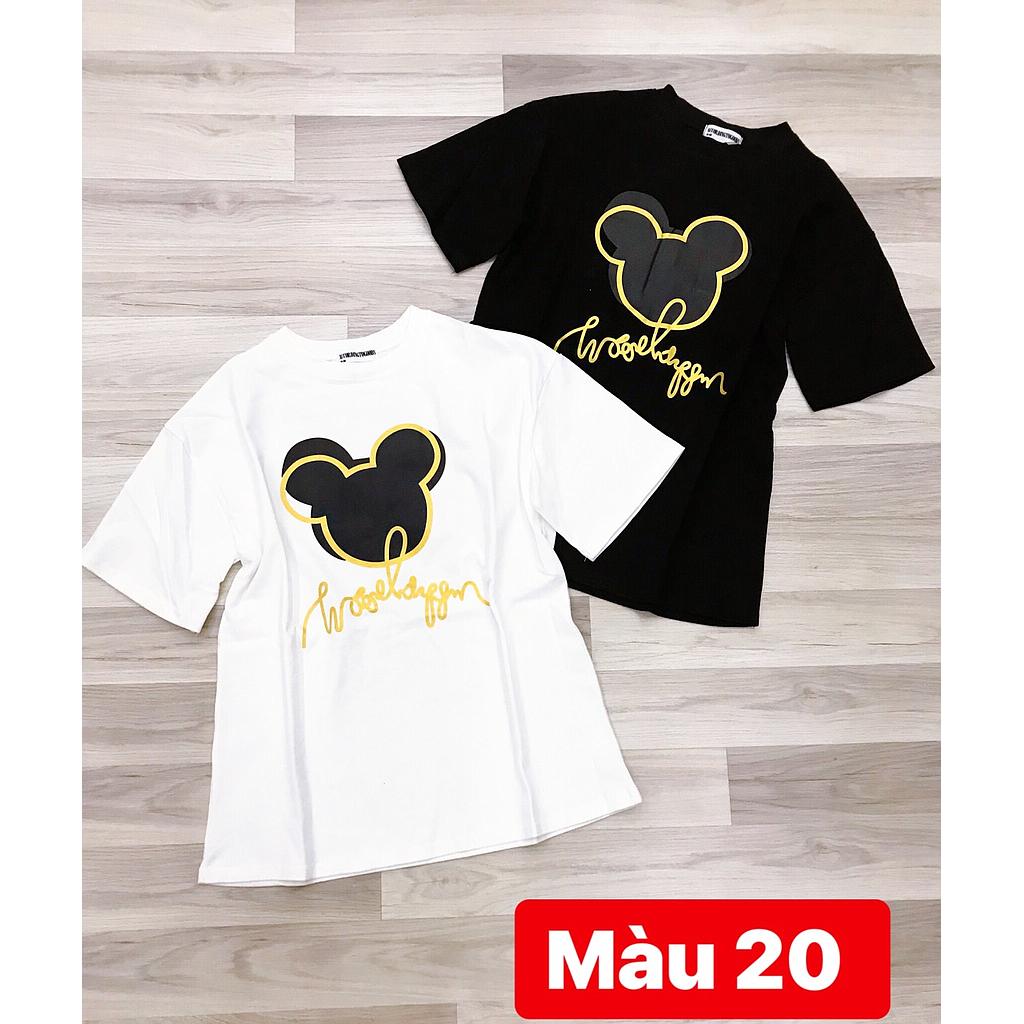 Thun hinh f.dai NT 03