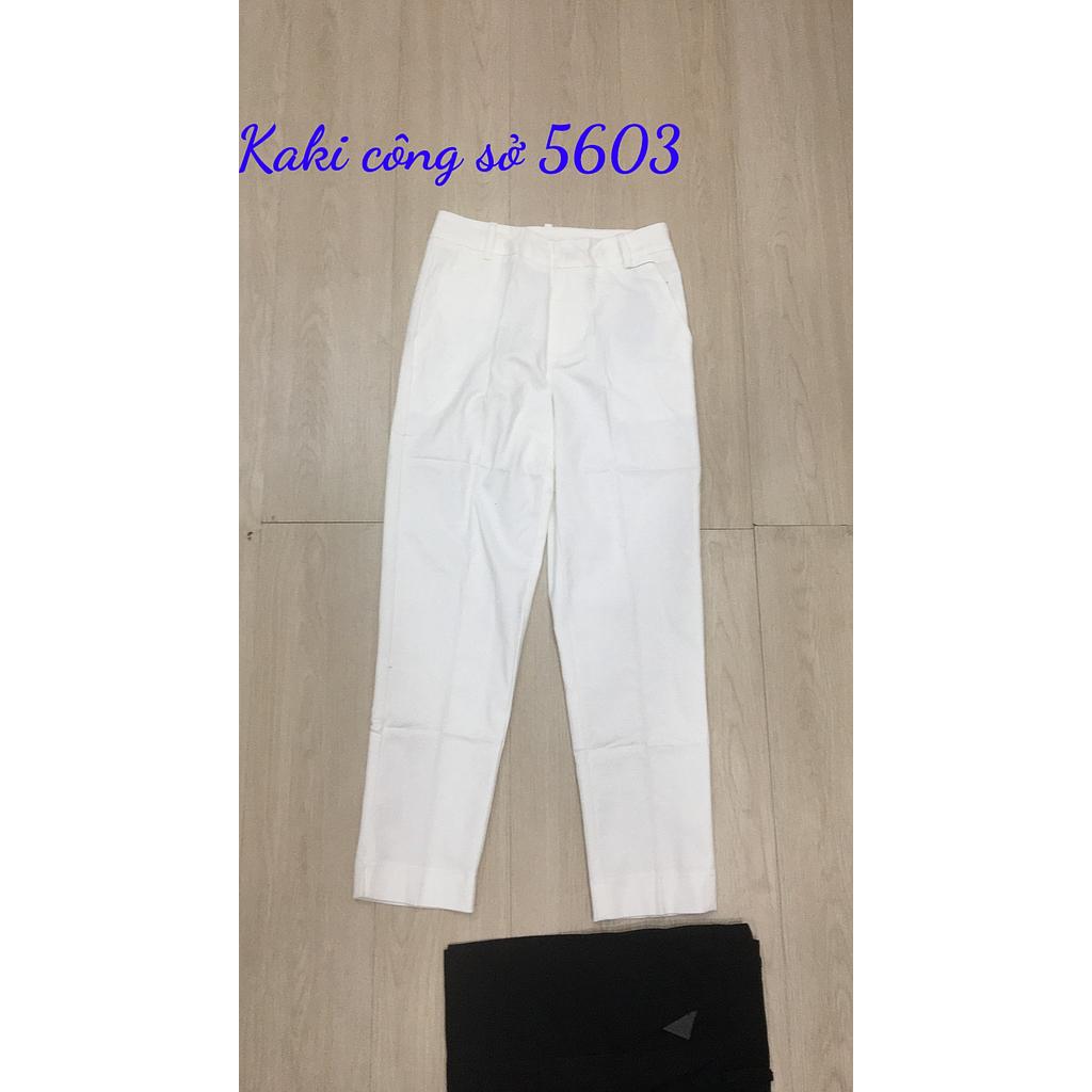 Kaki cong so 560302