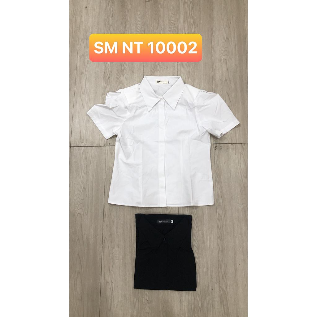SM NT 1000201