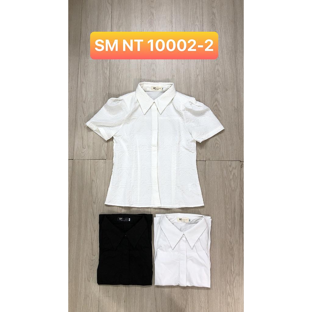 SM NT 10002-201