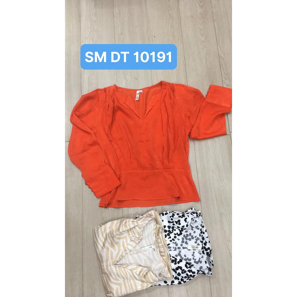 SM kieu DT 1019101