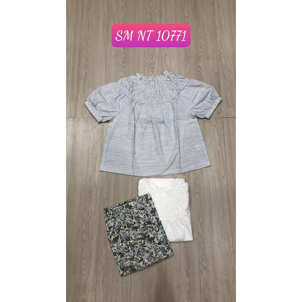 SM kieu NT DG 1077101