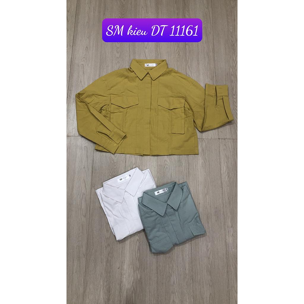 SM kieu DT 1116101