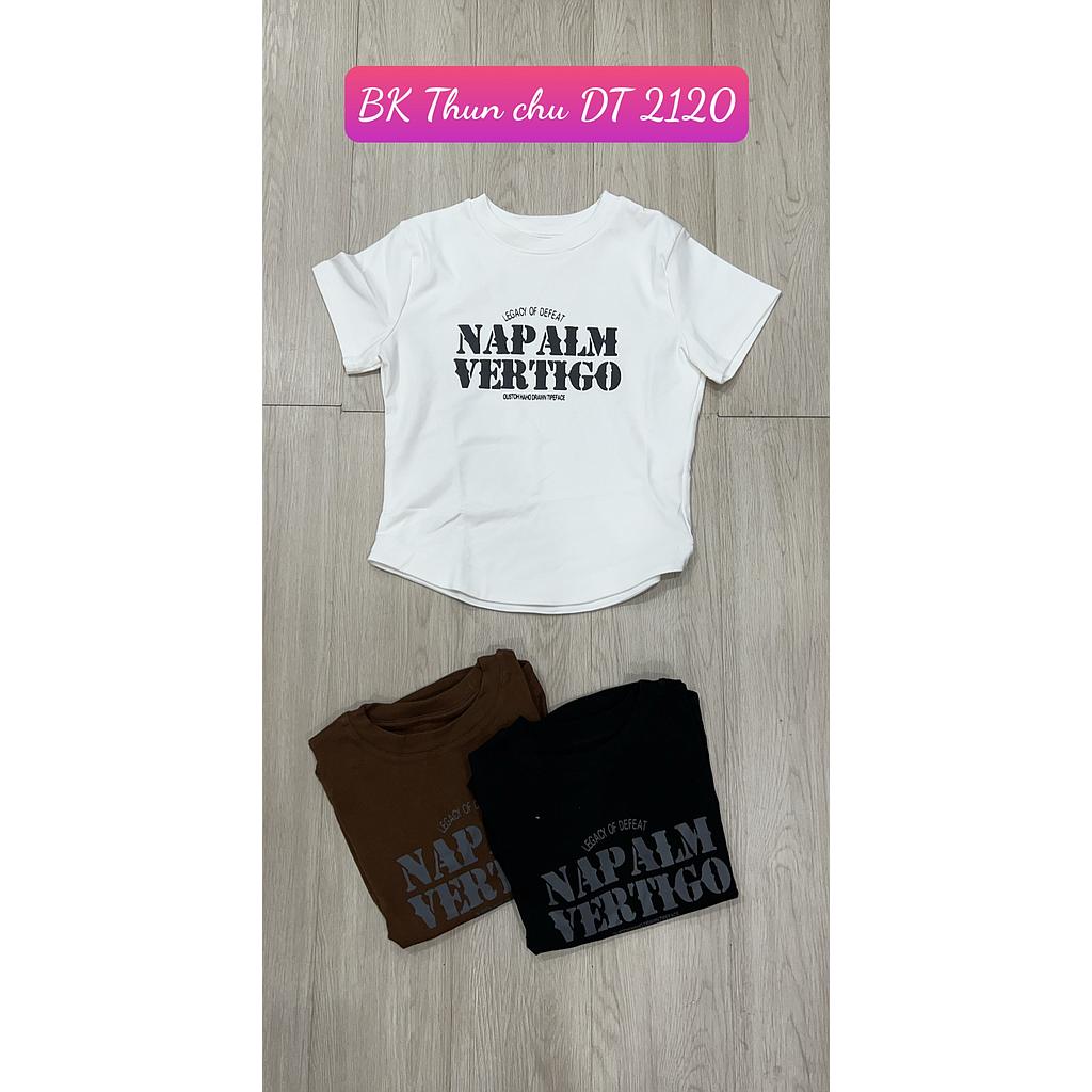 Thun chu NT HN 212005