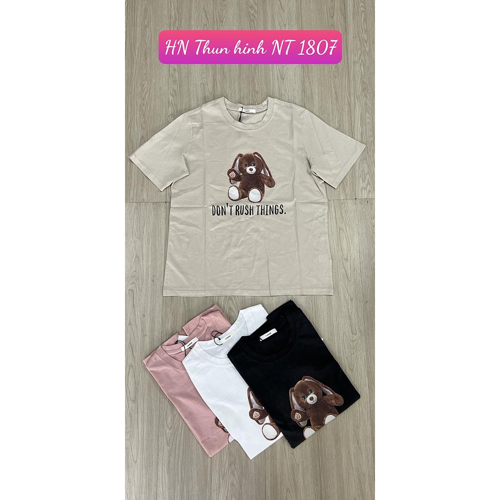 Thun hinh NT HN 180705