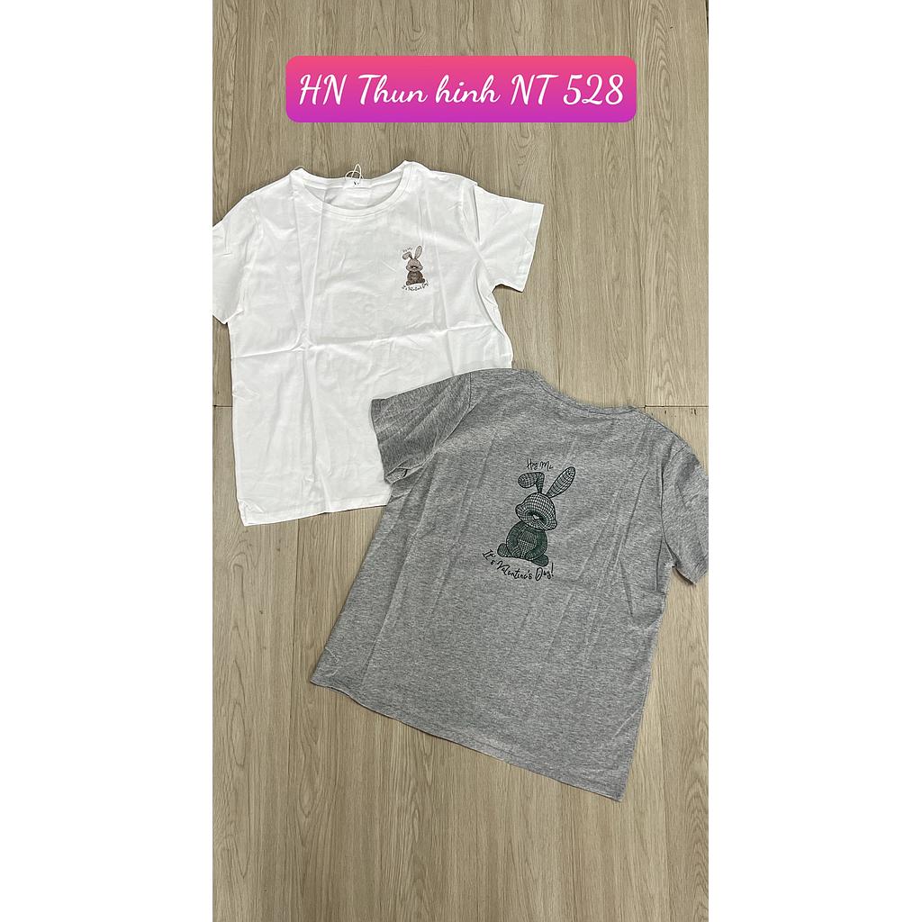 Thun hinh NT HN 52805