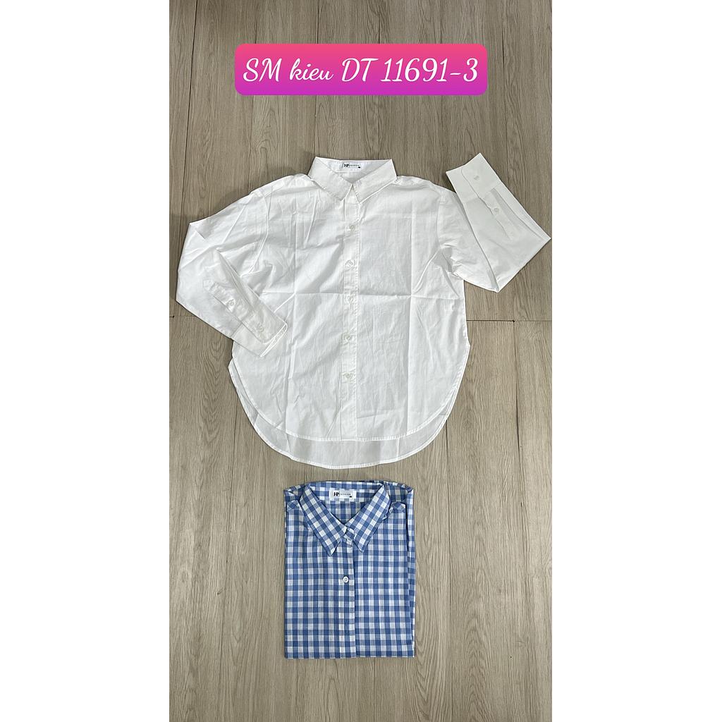 SM kieu DT 11691-301