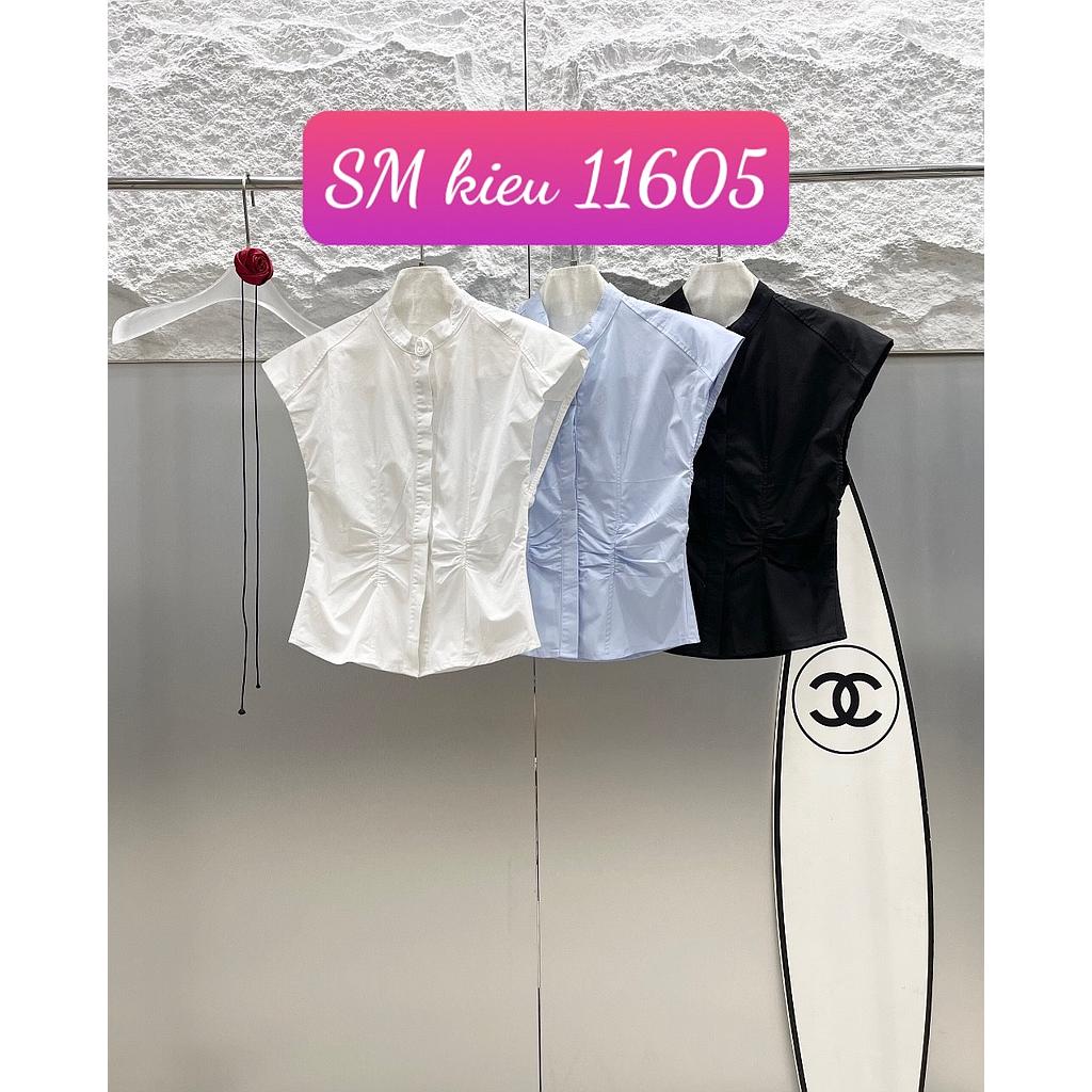 SM kieu NT BK 1160505