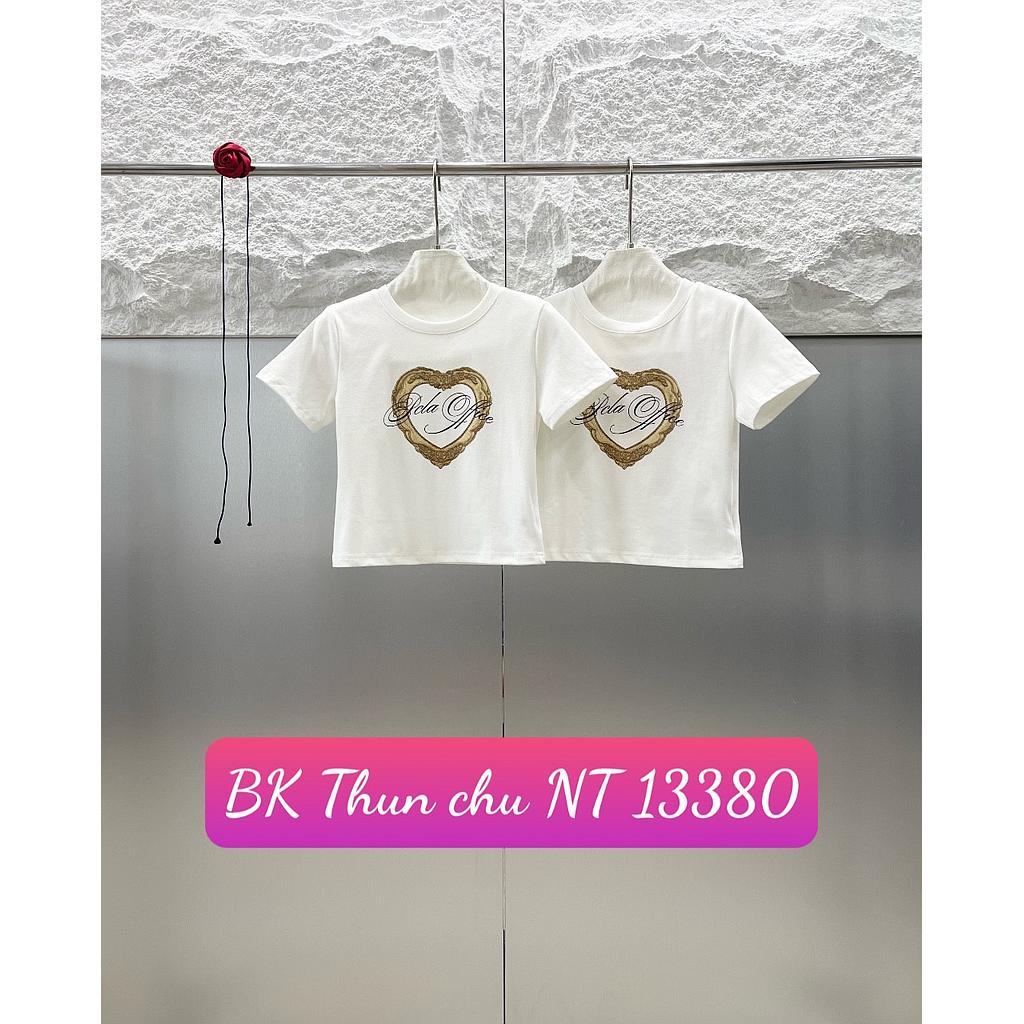 Thun hinh NT 1338005