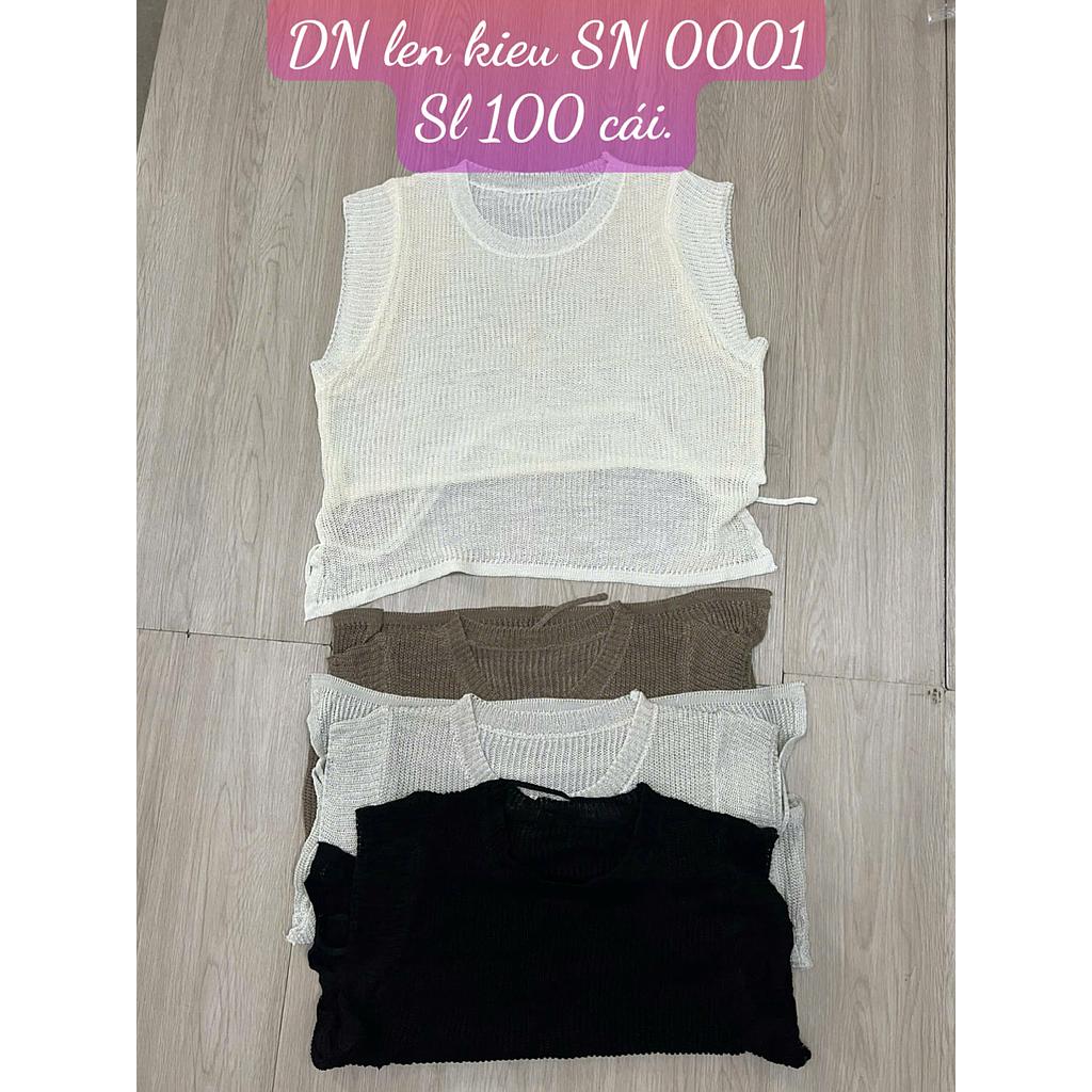 Len kieu SN DN 000102