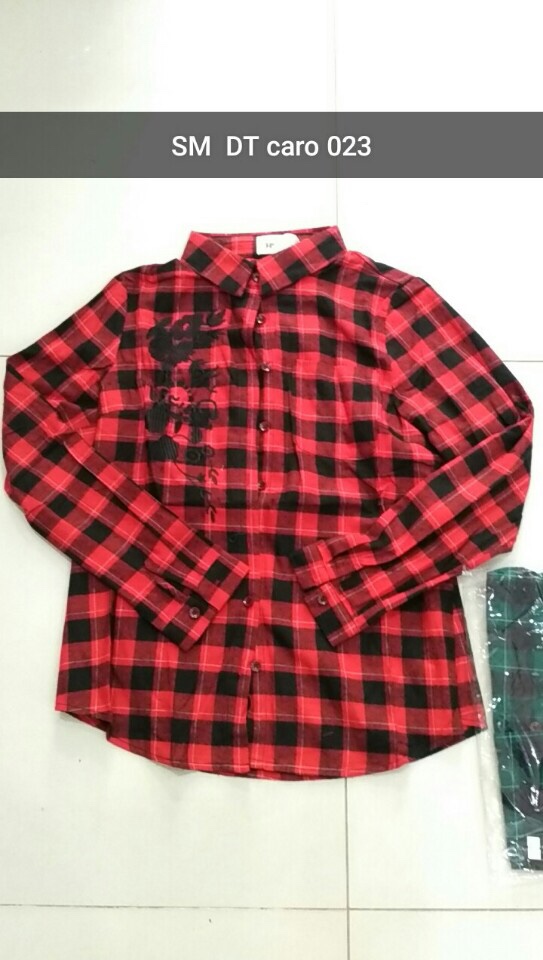 SM DT 02302