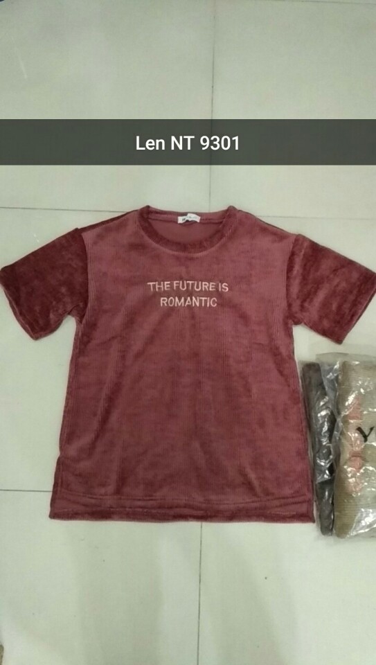 Len f.dai NT 930102