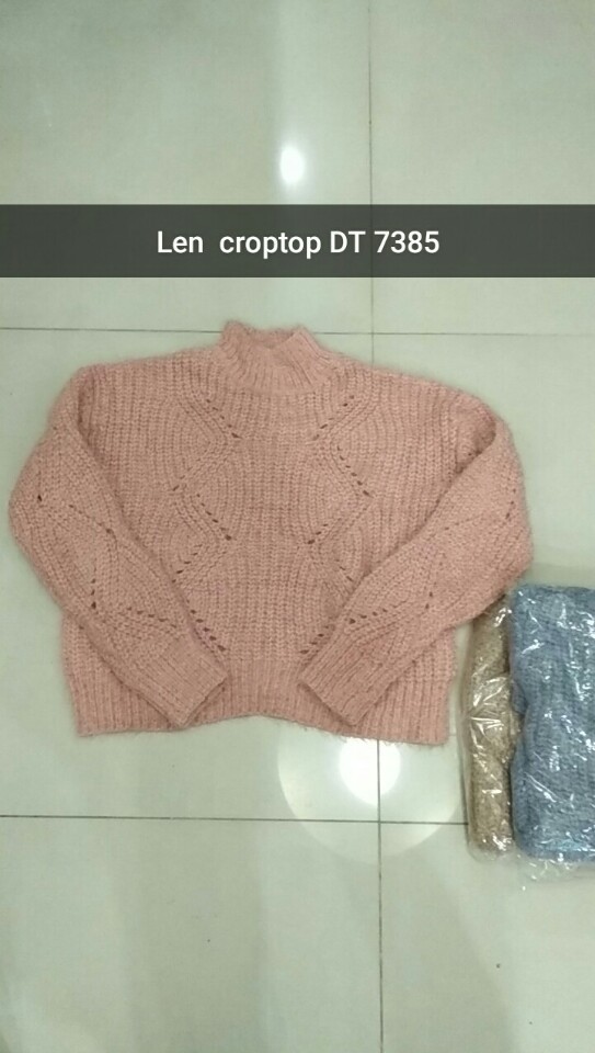 Len DT 738502