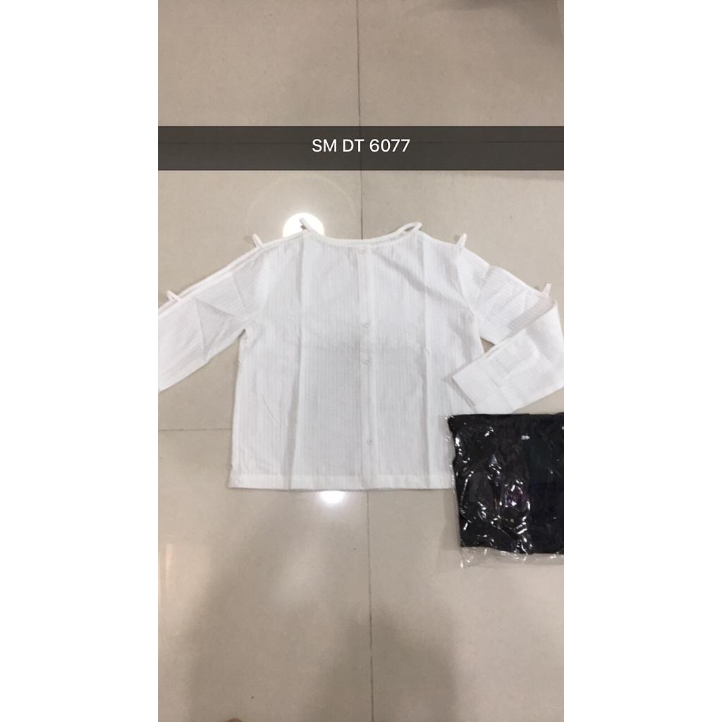 SM DT 6077-201