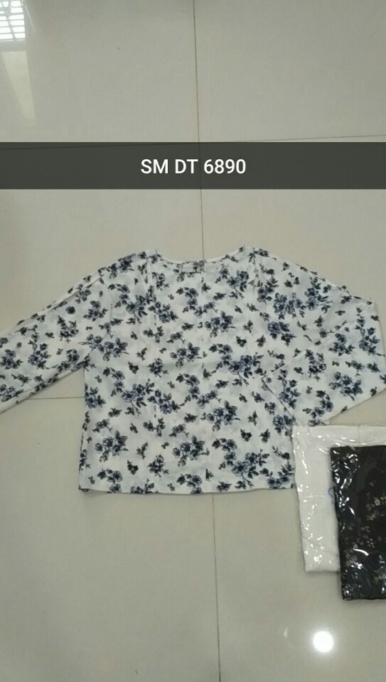 SM DT 689001