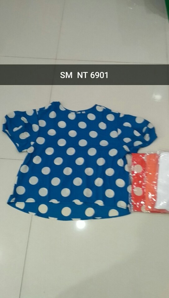 SM NT 690101