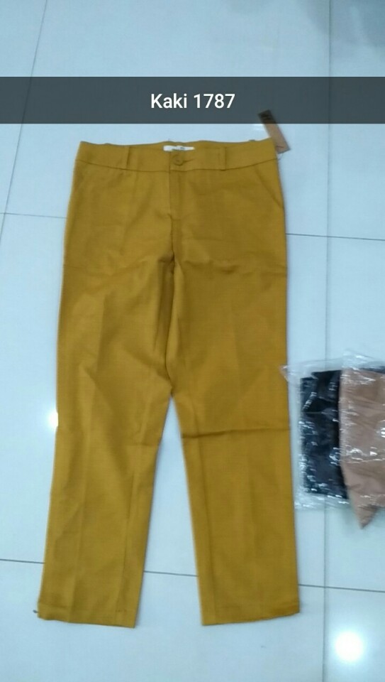 Kaki  DM 178702