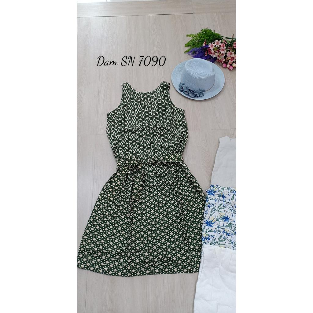Dam SN 709001