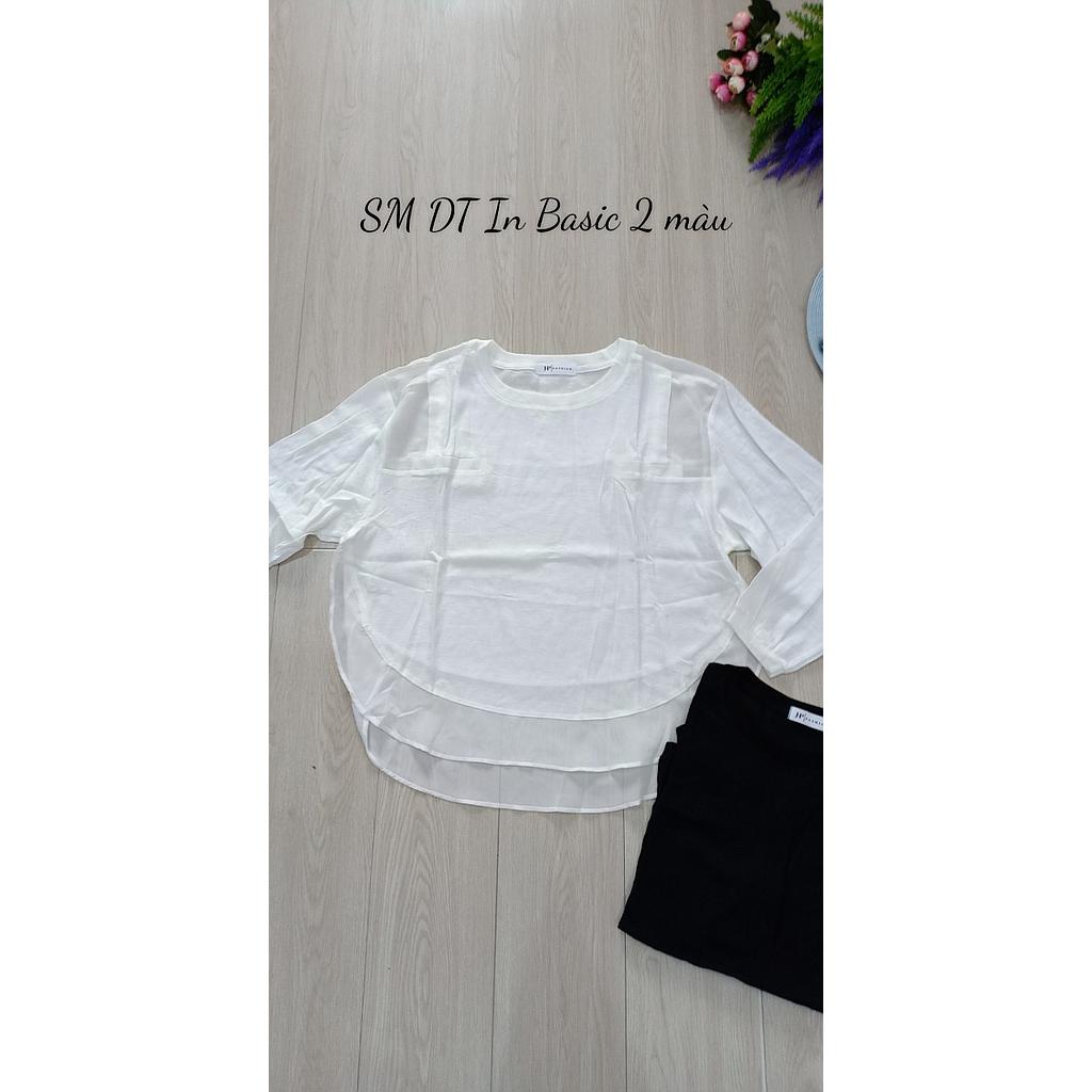 SM DT Inbasic 03