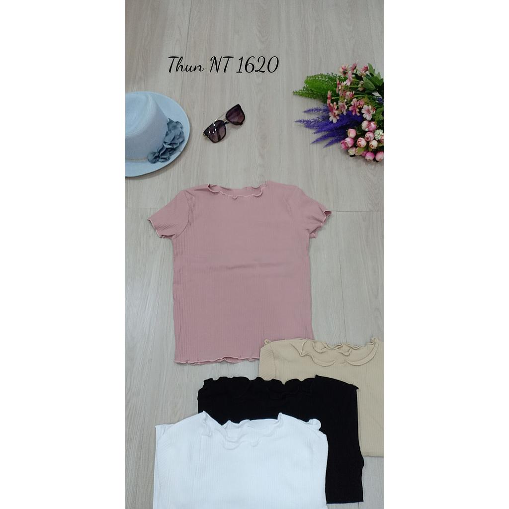 Thun om NT 162002