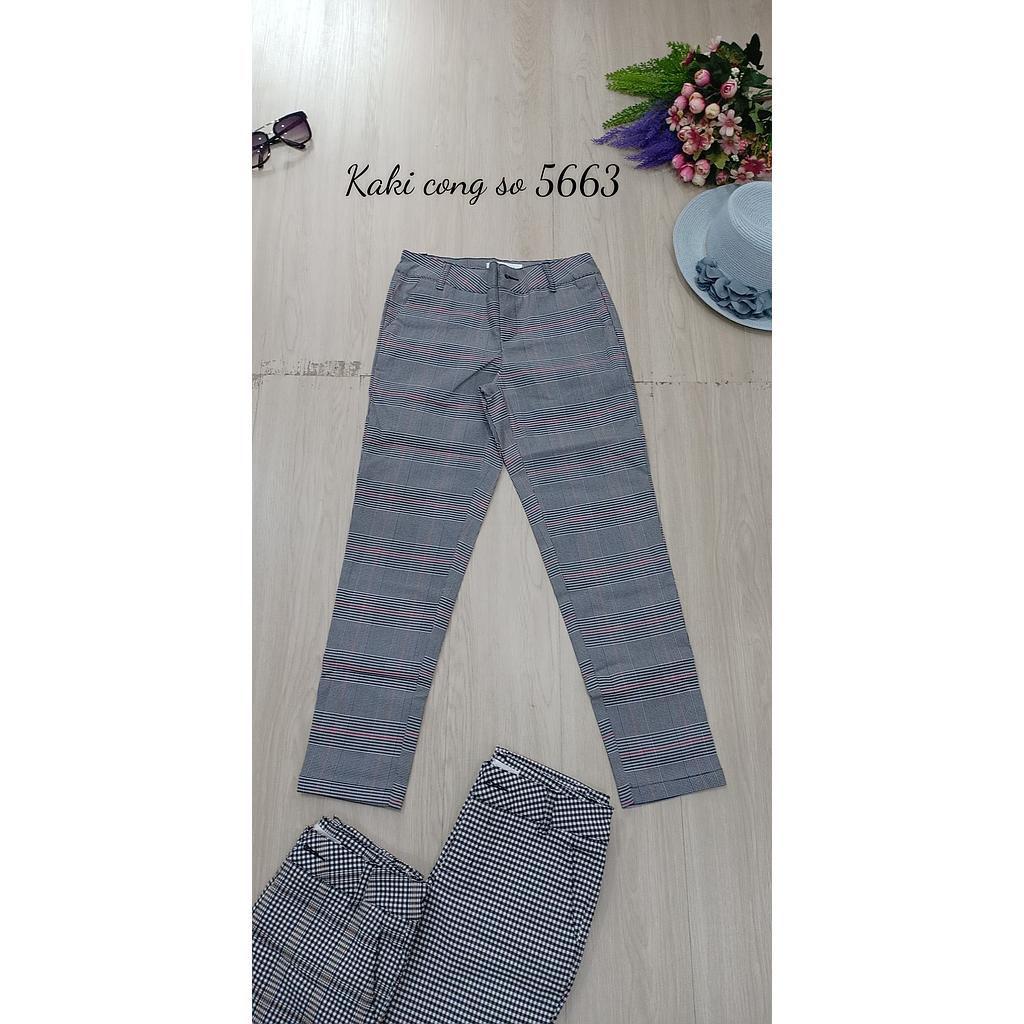 Kaki cong so 566302