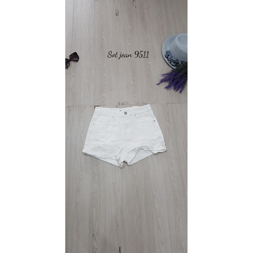Sot jean 951102