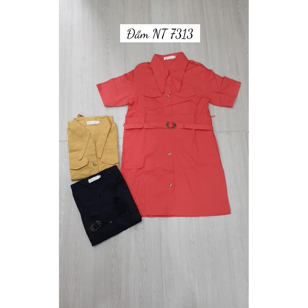 Dam NT 731301