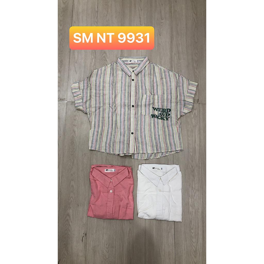 SM NT 993101