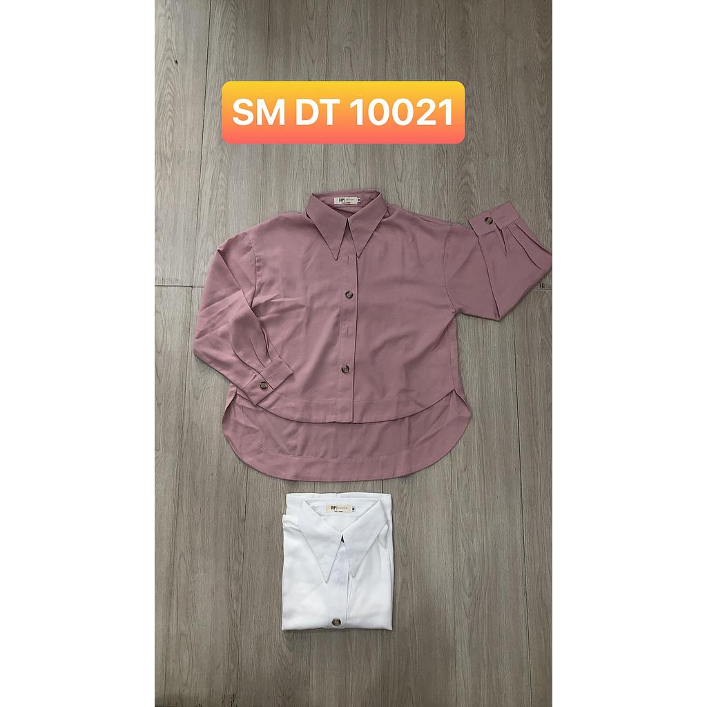 SM DT 1002101