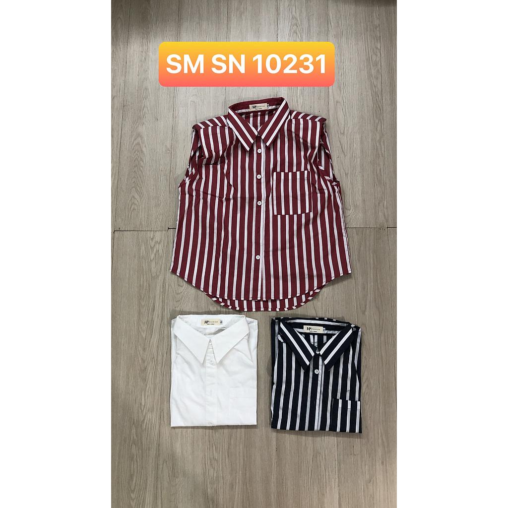 SM SN 1023101