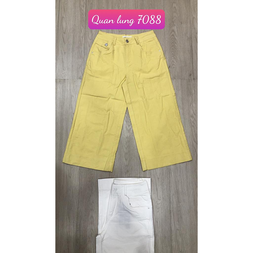 Quan lung 708802
