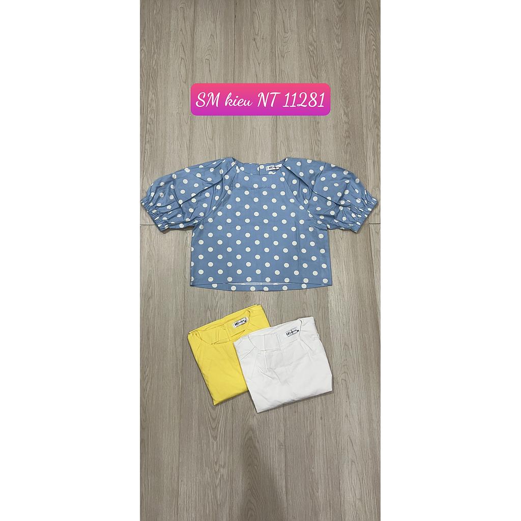 SM kieu NT 1128101