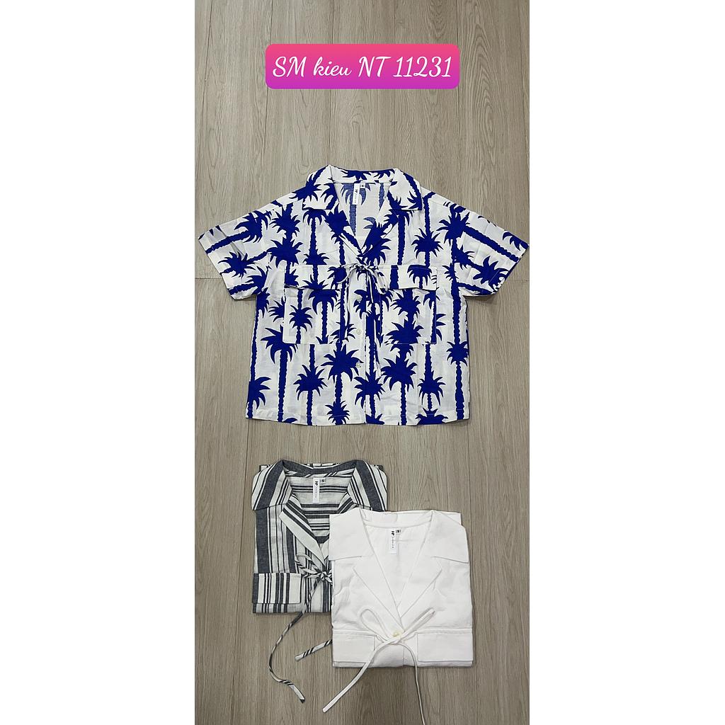 SM kieu NT 1123101
