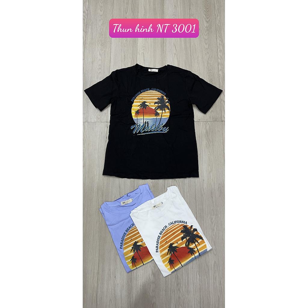 Thun hinh NT 300102