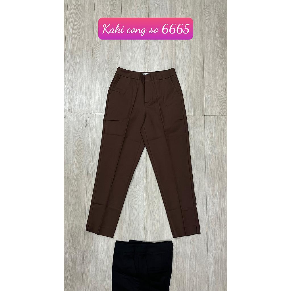 Kaki cong so 666502