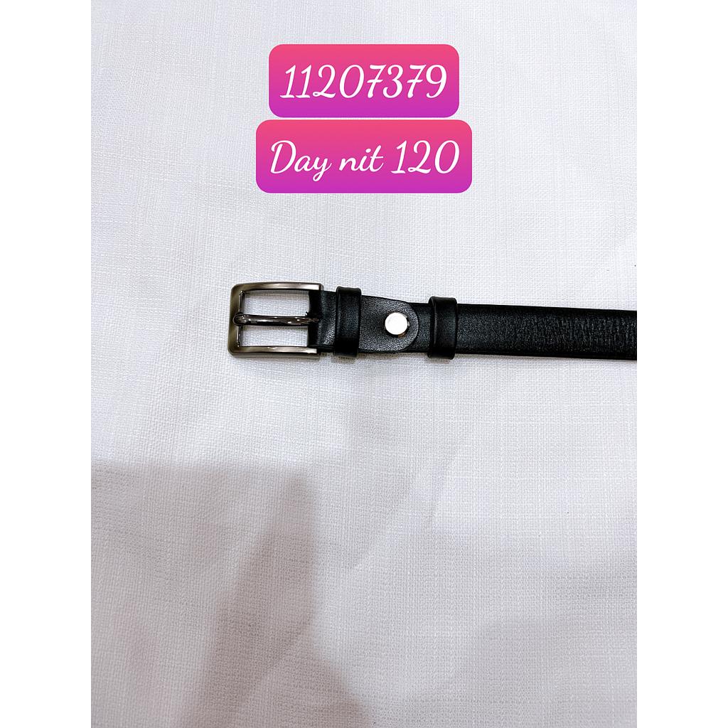 Day nit 12003