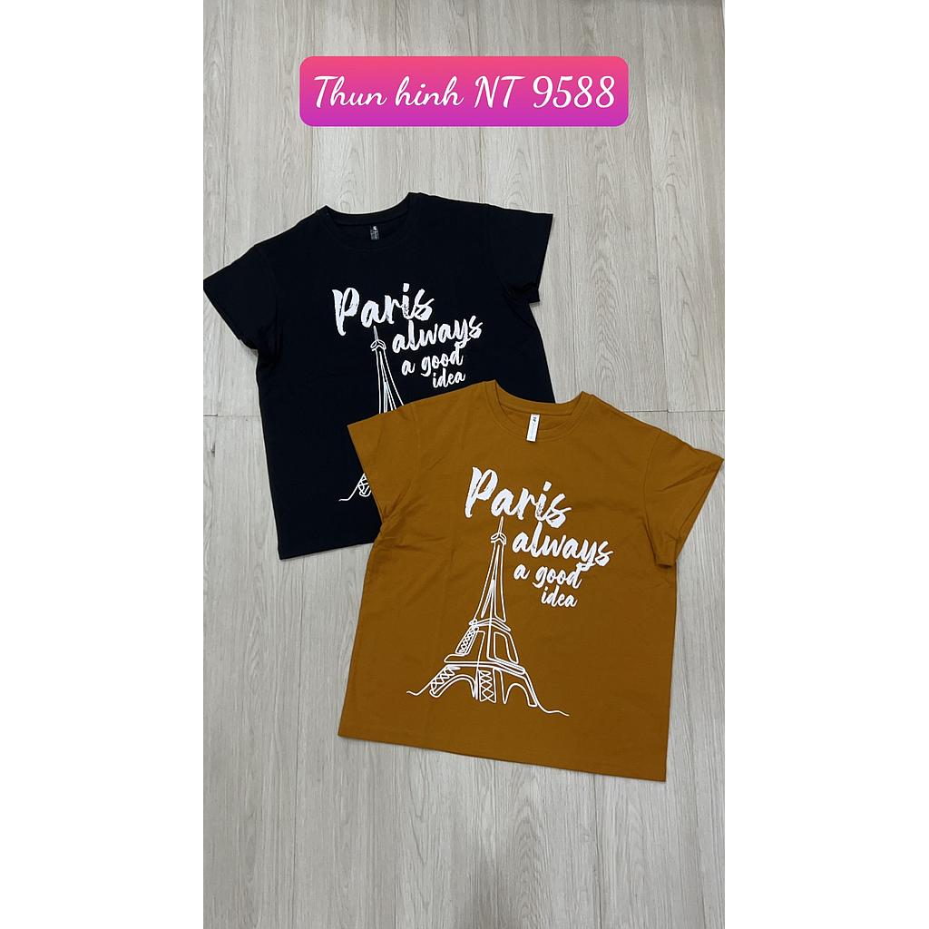 Thun hinh NT 958801