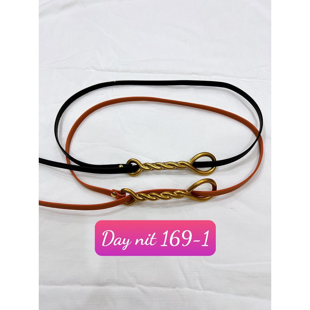 Day nit 169-102
