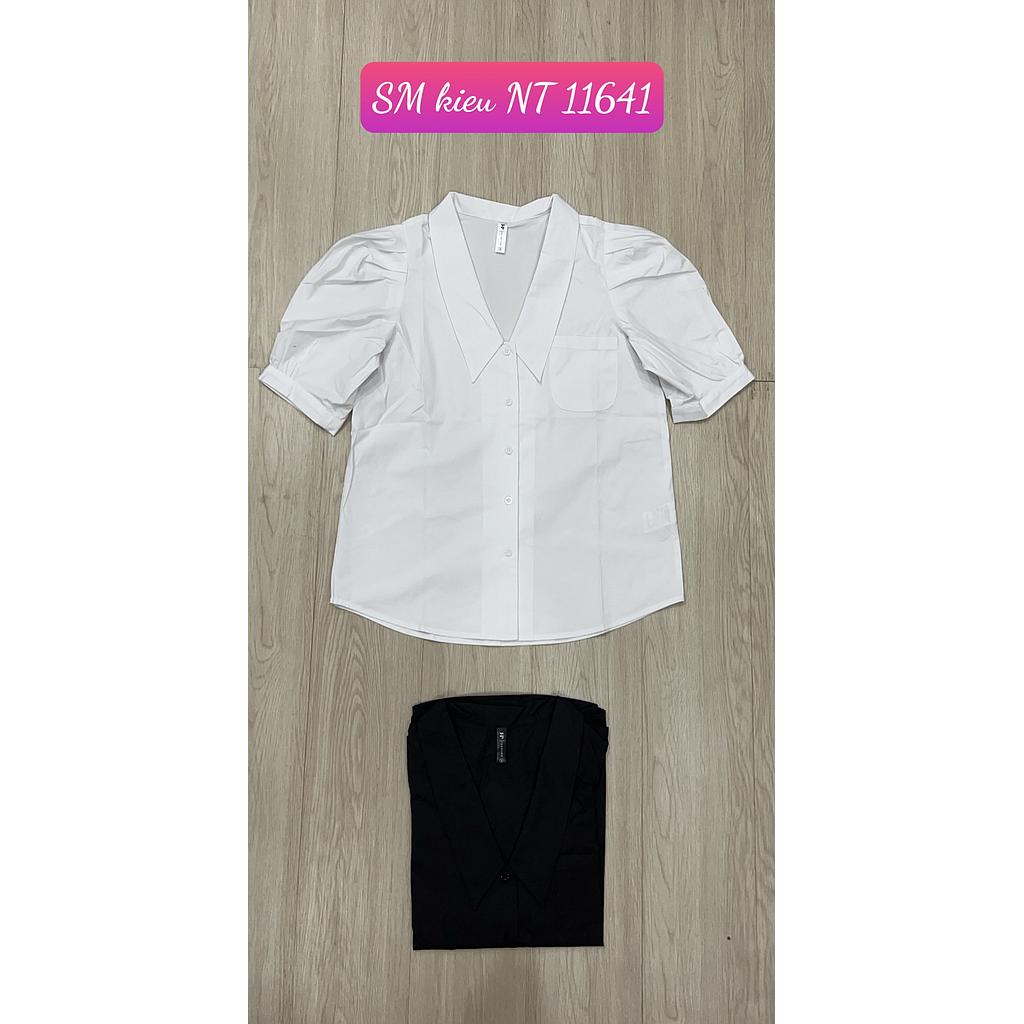 SM kieu NT 1164101