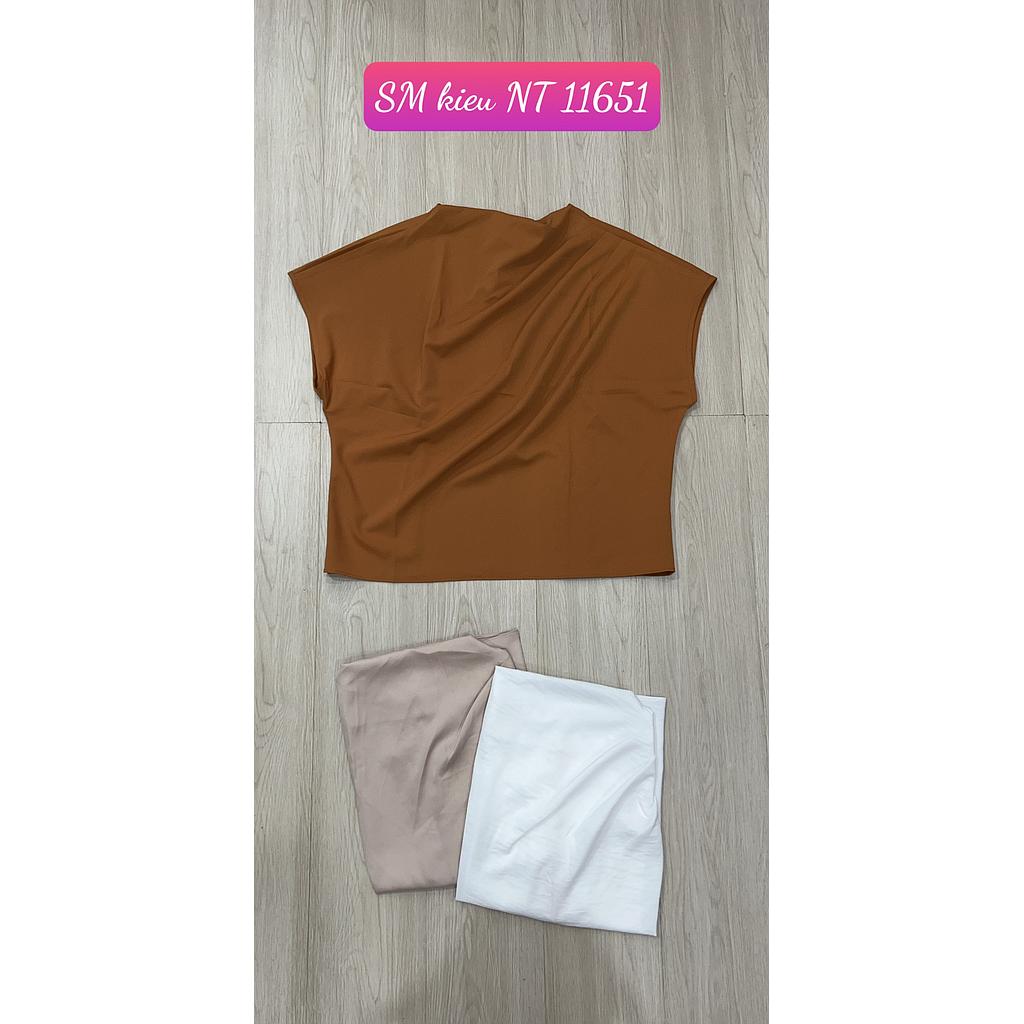 SM kieu NT 1165101