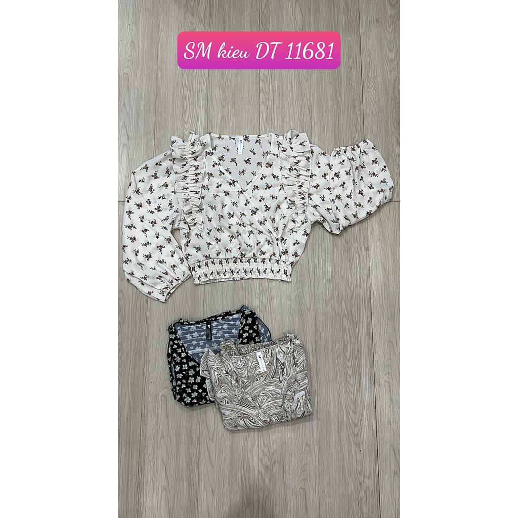 SM kieu DT 1168101