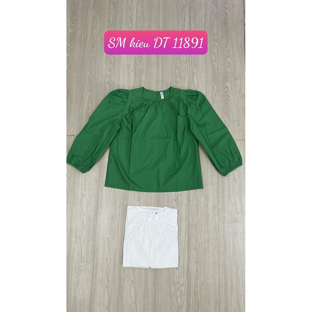 SM kieu DT 1189101