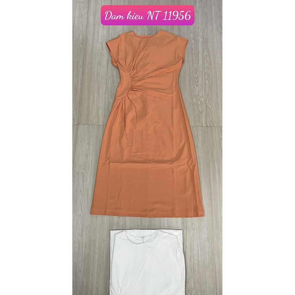 Dam kieu NT 1195601