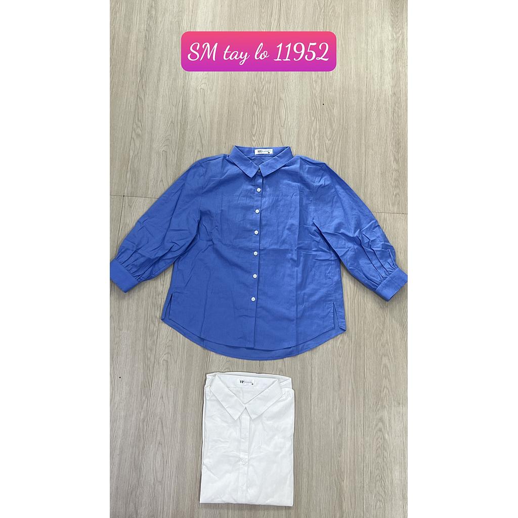 SM kieu DT 1195201