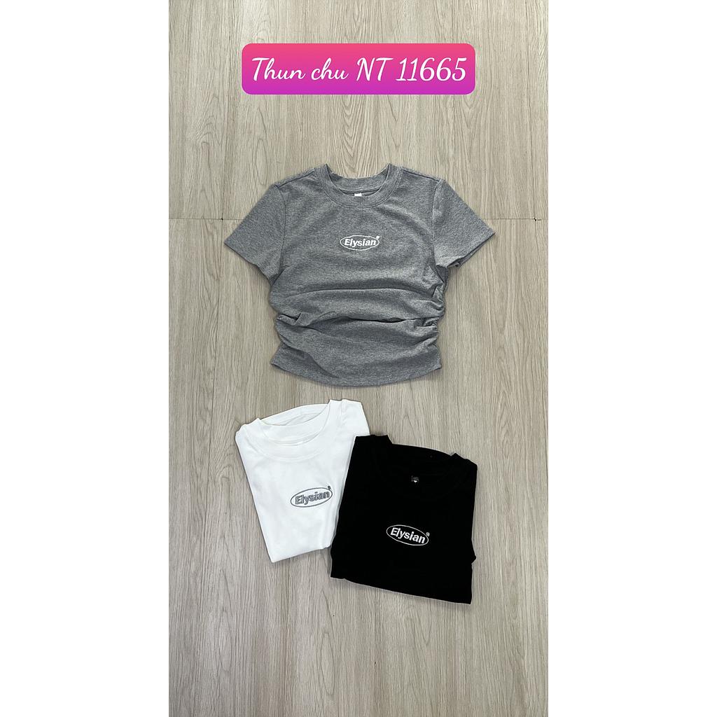 Thun chu NT 1166501