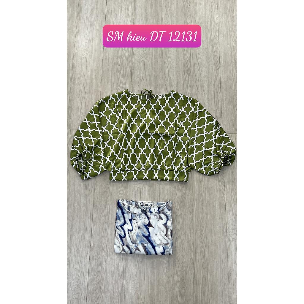 SM kieu DT 1213101