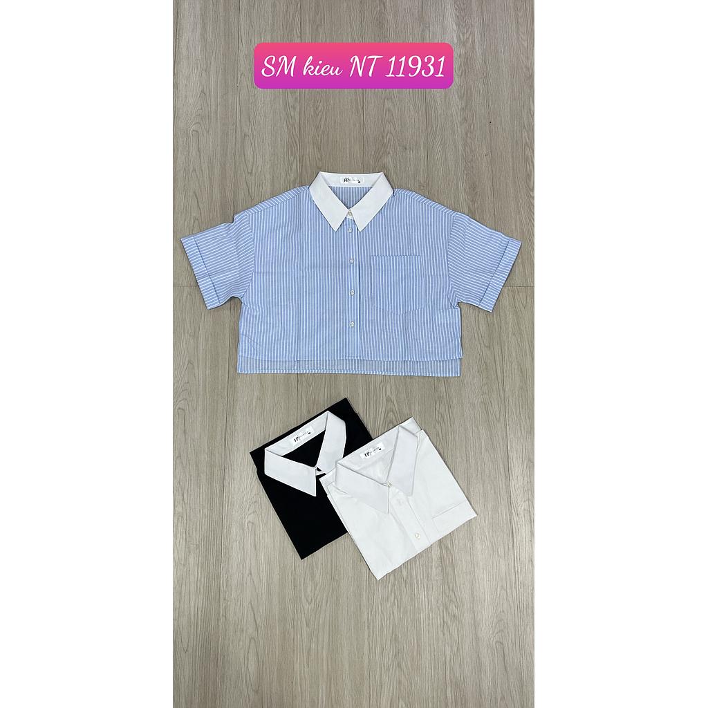 SM kieu NT 1193101