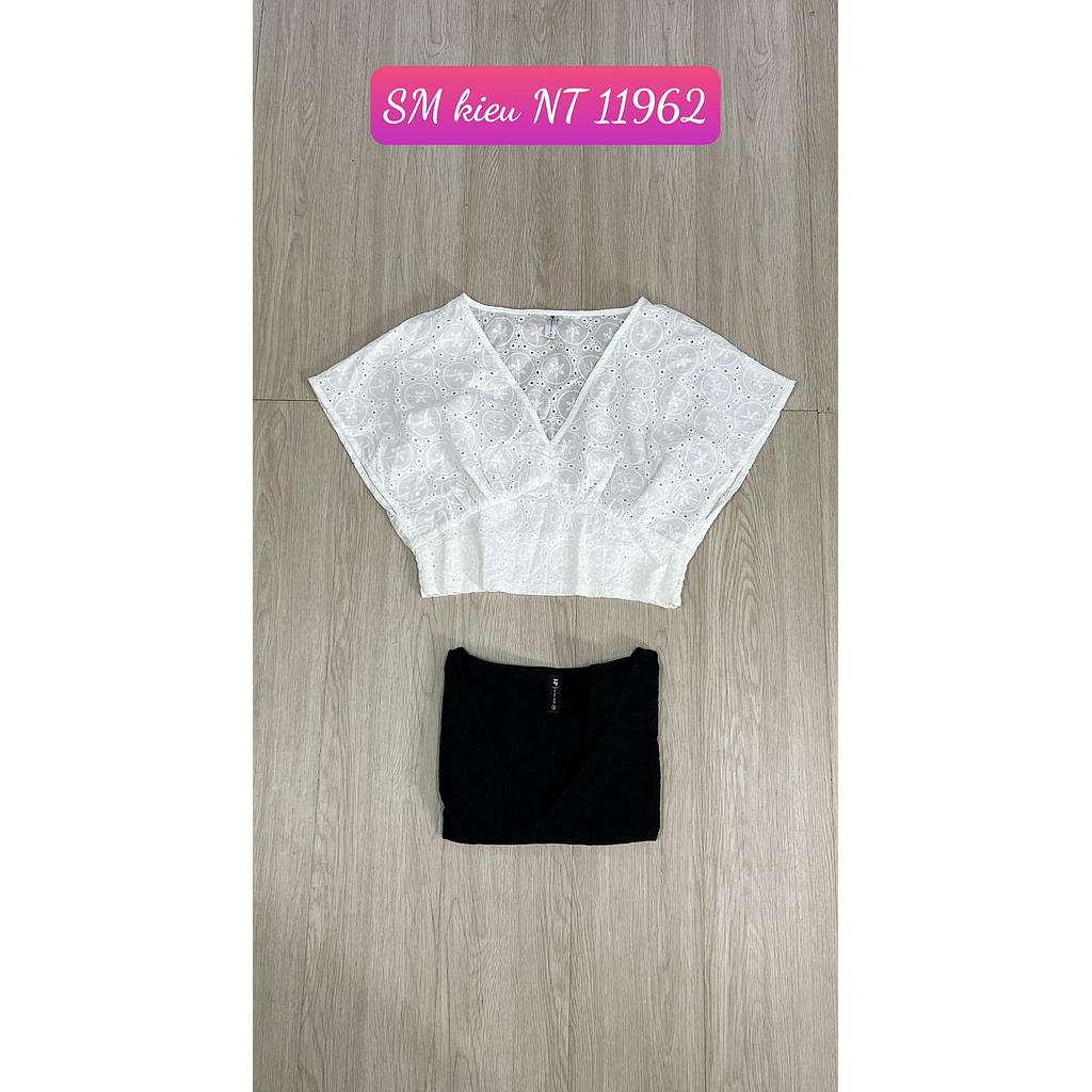 SM kieu NT 1196201